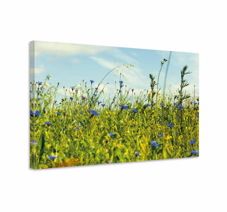 Quadro de flores cena de campo de flores silvestres - TenStickers