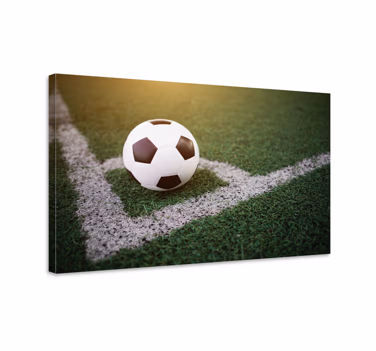 Quadro juvenil Lindo futebol na grama - TenStickers