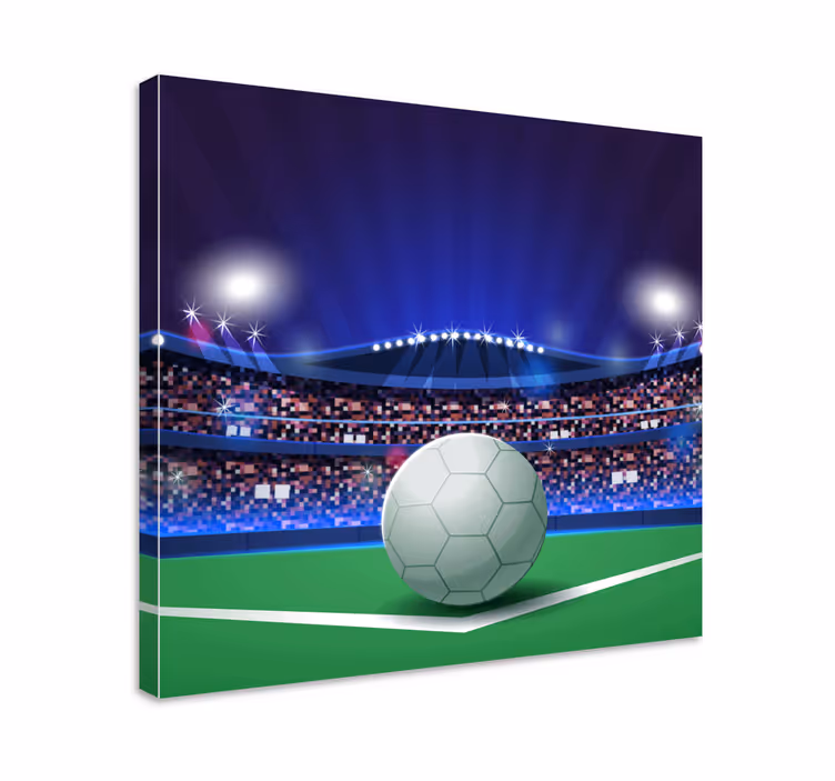 Quadro para lar Bola no estádio leve - TenStickers