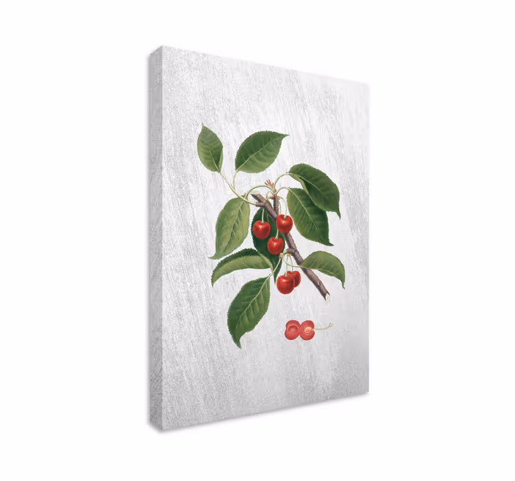 Quadro decorativo de vinícola detalhe de ramo de cereja - TenStickers