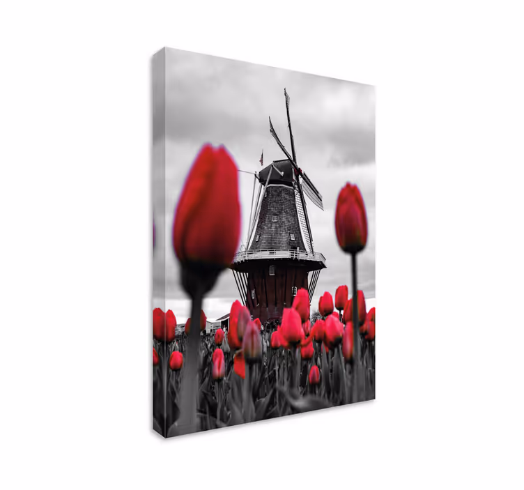 Quadro de paisagem moinho e tulipas - TenStickers