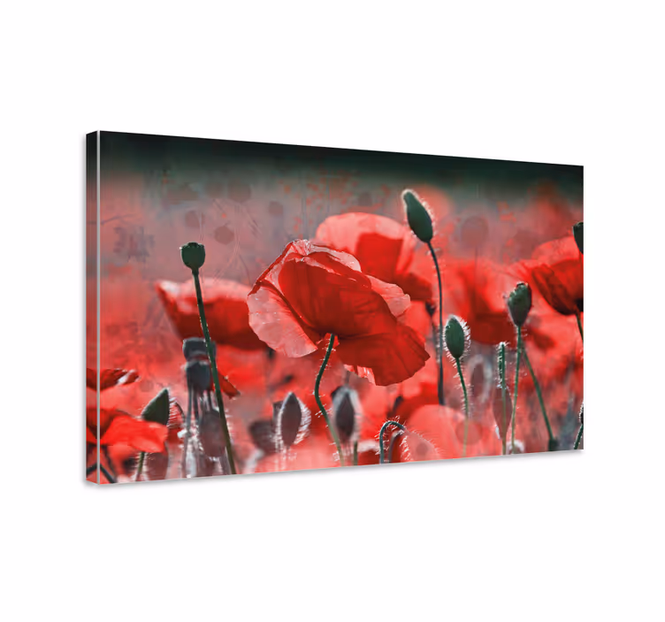 Quadro de flores Campo de papoula vermelha e verde - TenStickers