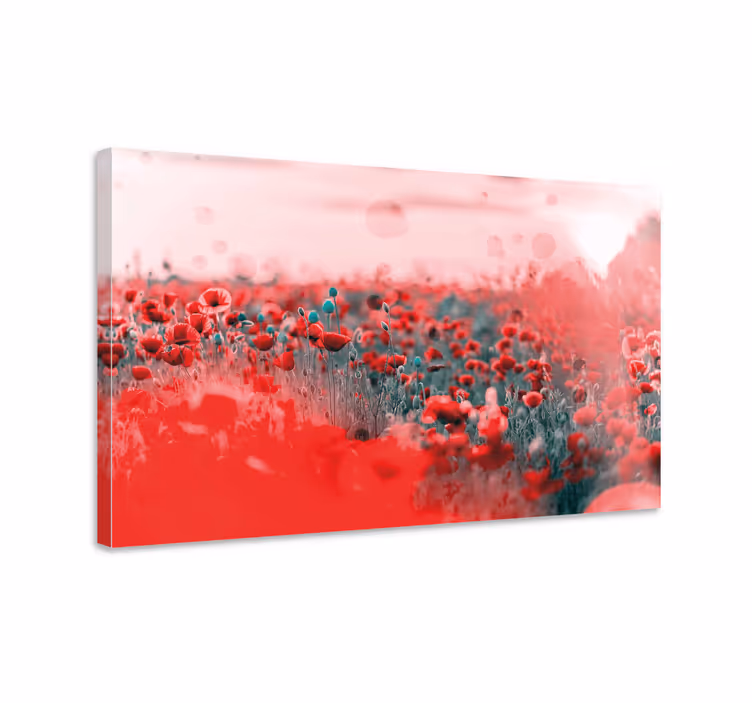 Quadro de flores campo de papoulas vibrantes - TenStickers