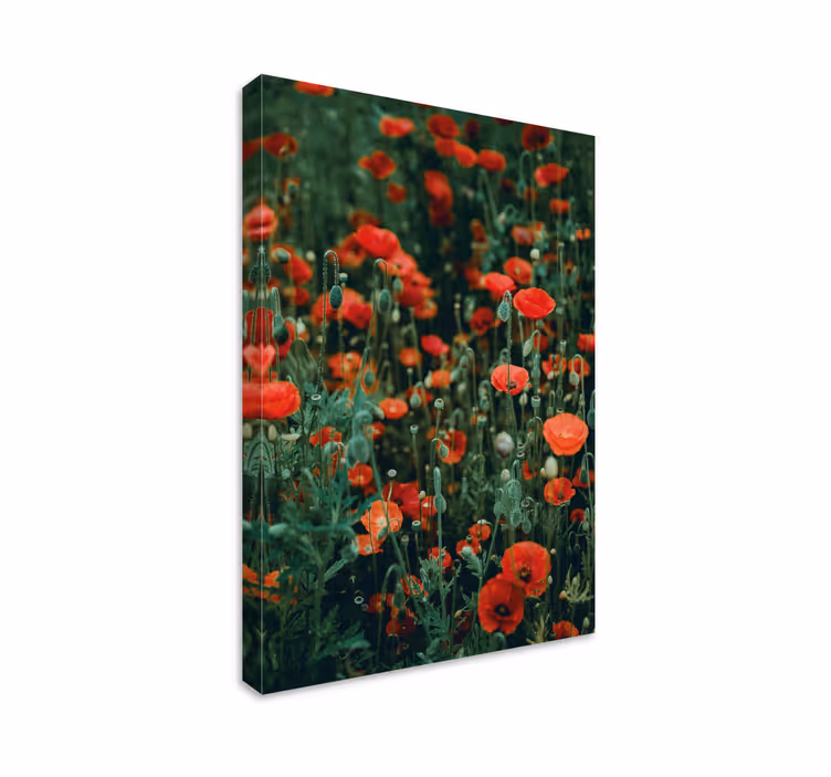 Quadro de flores campo de flores vermelhas - TenStickers