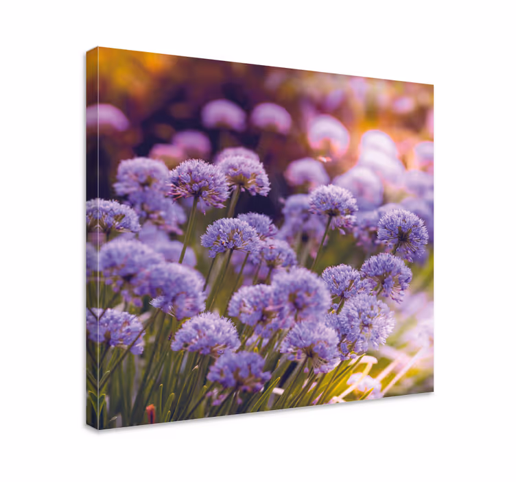 Quadro de flores flores roxas vibrantes - TenStickers