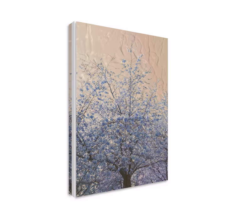 Quadro de flores galhos floridos - TenStickers