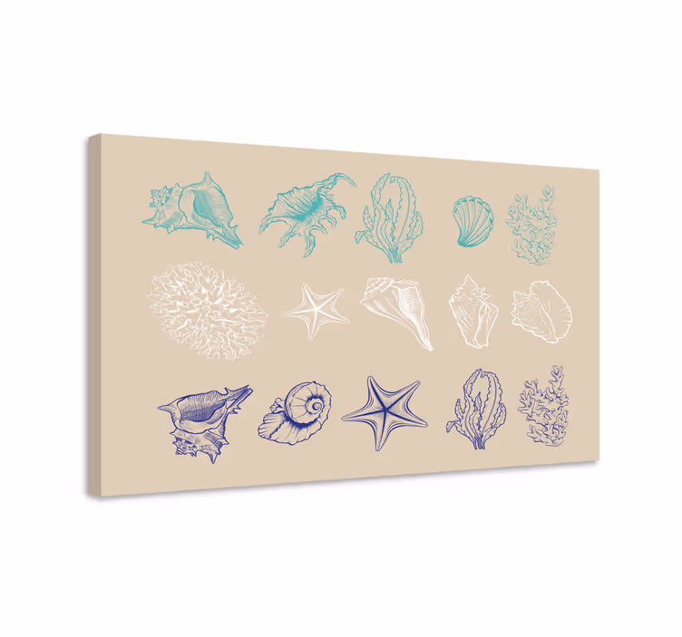Quadro náutico coleção de conchas costeiras - TenStickers
