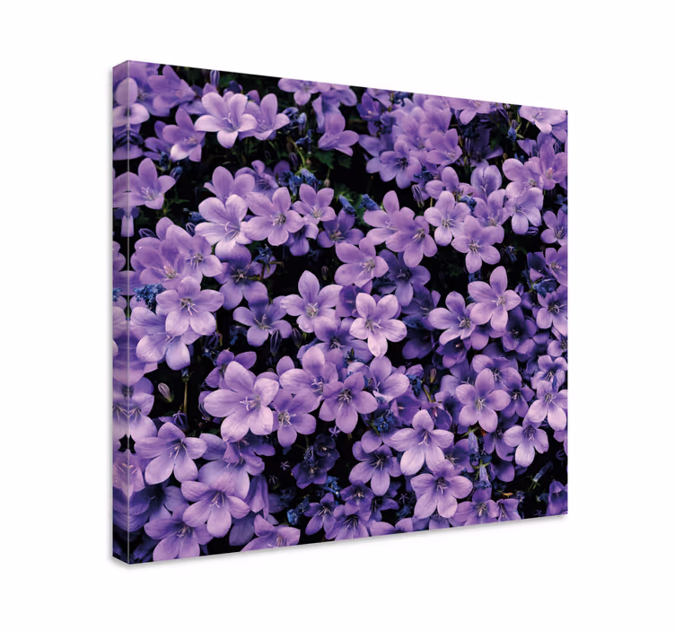 Quadro de flores Flores roxas vagas - TenStickers