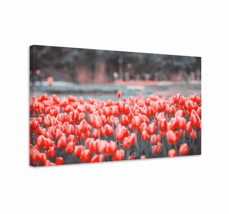 Quadro de flores campo de tulipas vibrantes - TenStickers