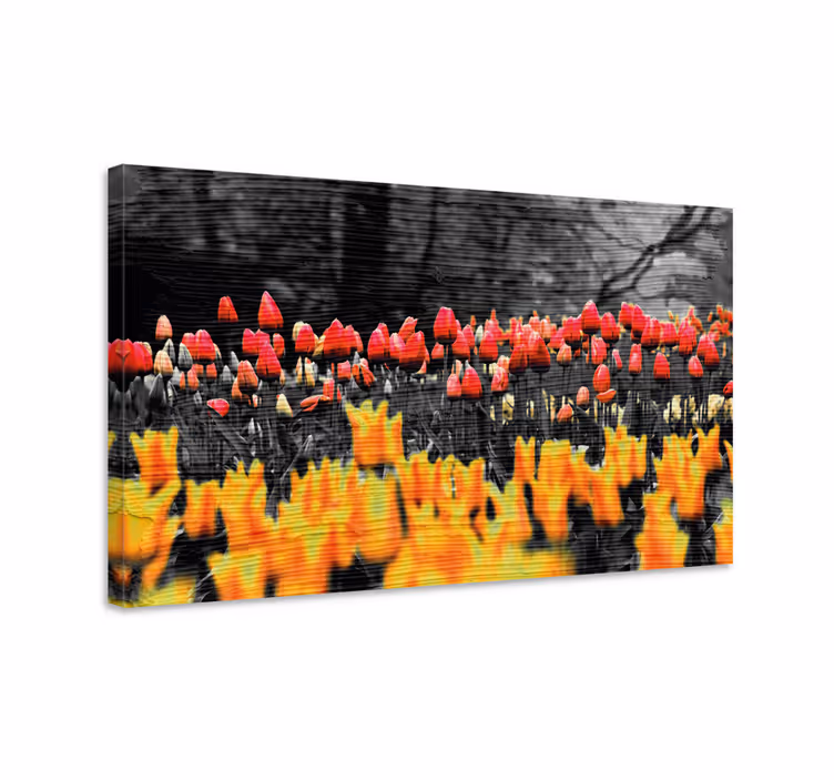 Quadro de flores jardim colorido de tulipas - TenStickers