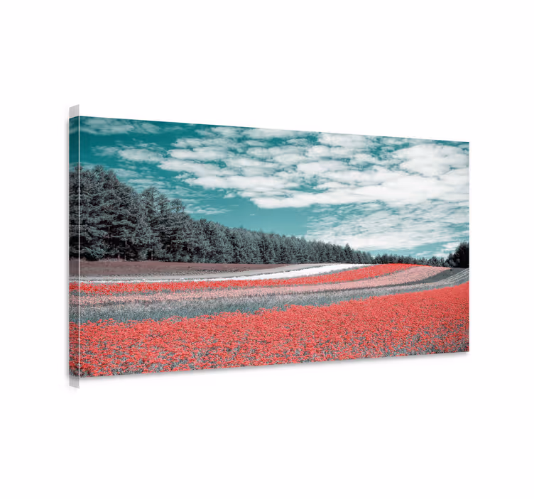 Quadro de paisagem campo de flores vibrantes - TenStickers