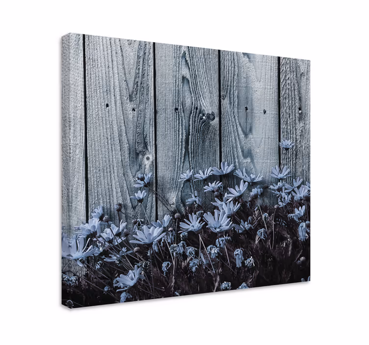 Quadro de flores Flor da margarida na prancha de madeira cinza - TenStickers