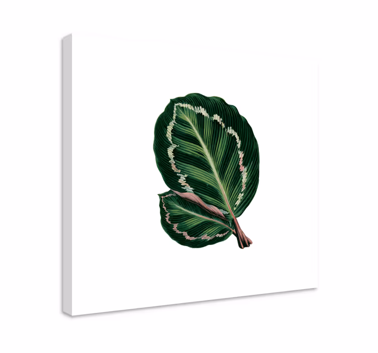 Quadro de flores com design de folhas grandes - TenStickers