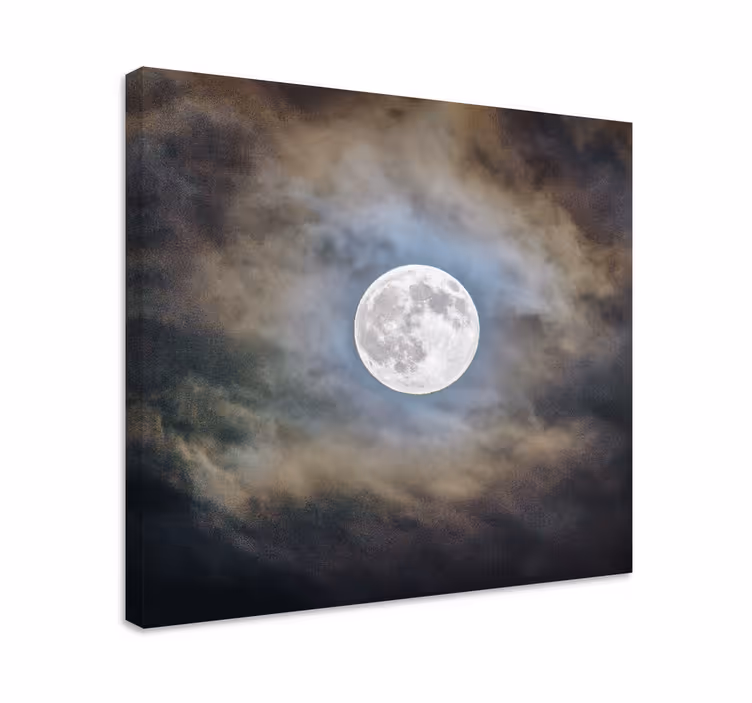 Quadro frase brilho da lua cheia - TenStickers