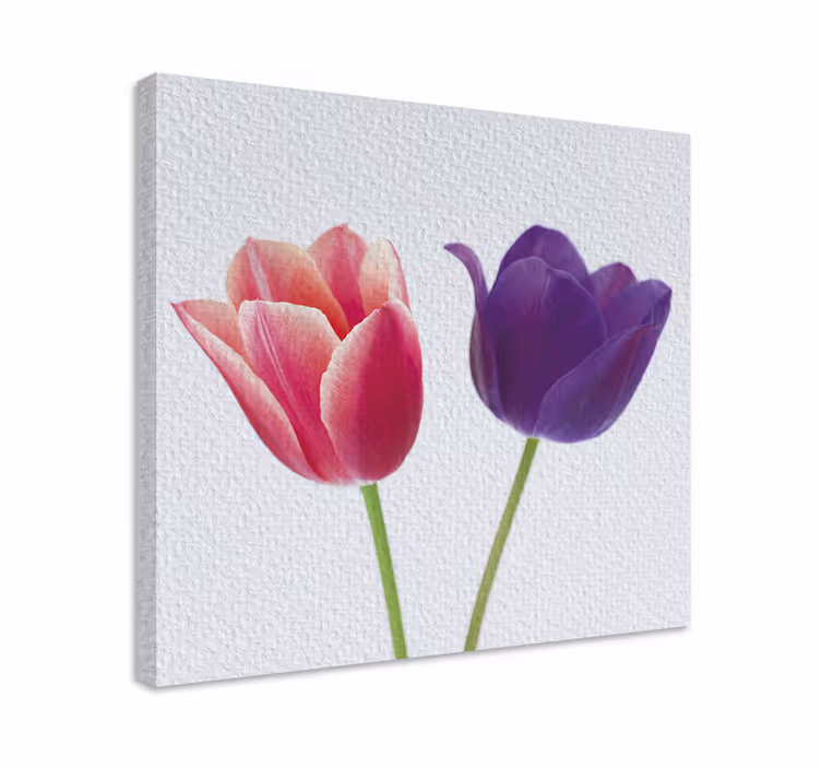 Quadro de flores arranjo de tulipas - TenStickers