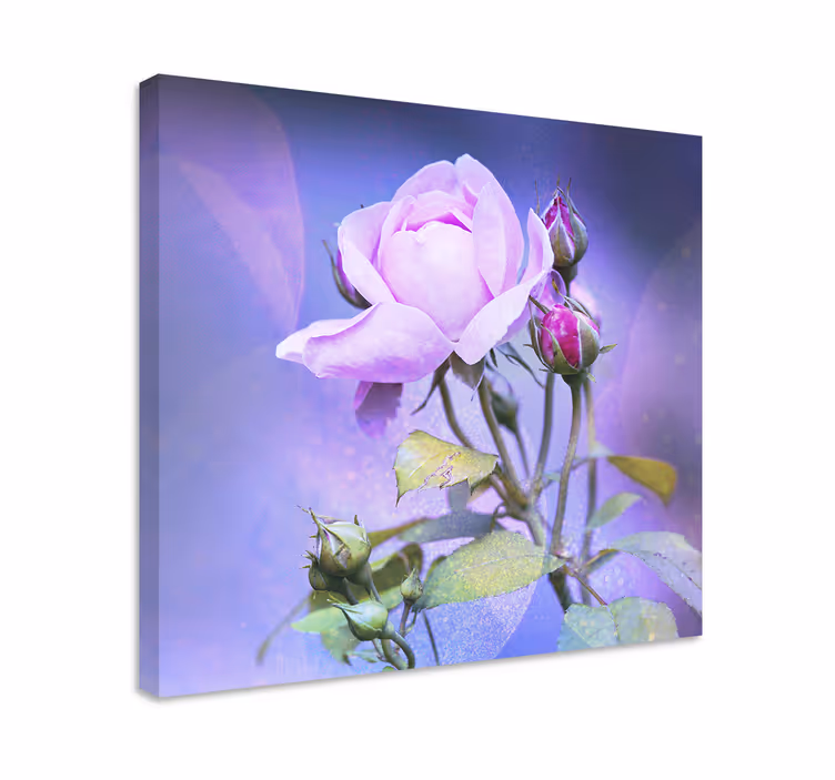 Quadro de flores rosa florescendo pink - TenStickers