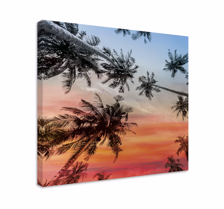 Quadro de paisagem silhueta de palmeiras - TenStickers