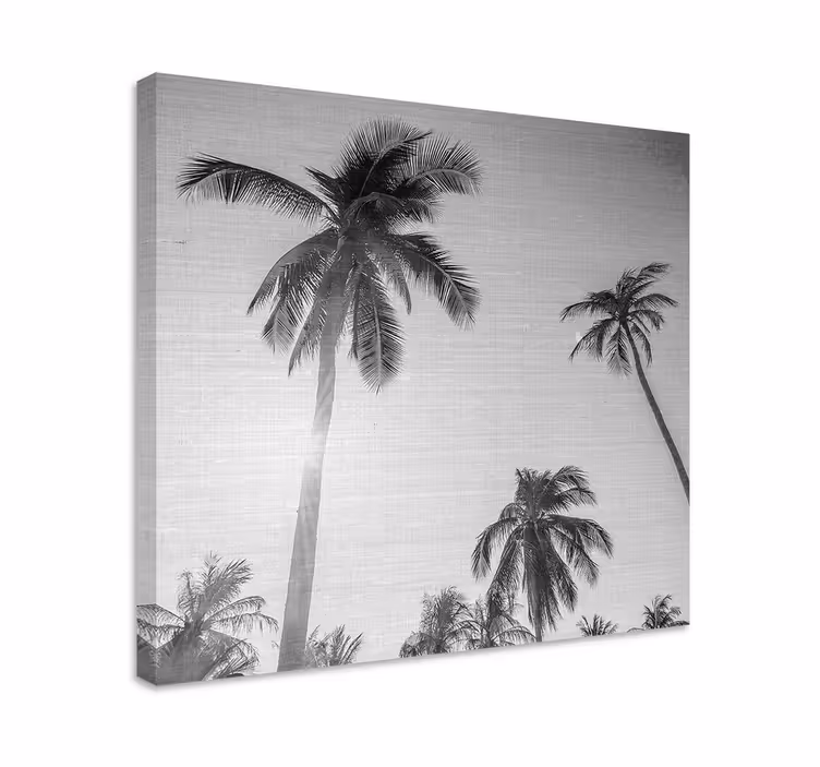Quadro para sala de jantar Sol brilhante com palma - TenStickers