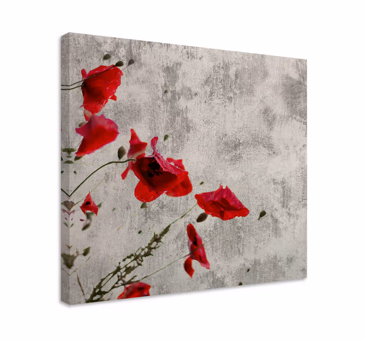 Quadro de flores flores de papoula vermelha - TenStickers