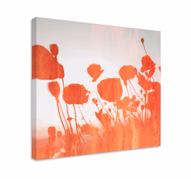 Quadro de flores papoulas delicadas em flor - TenStickers