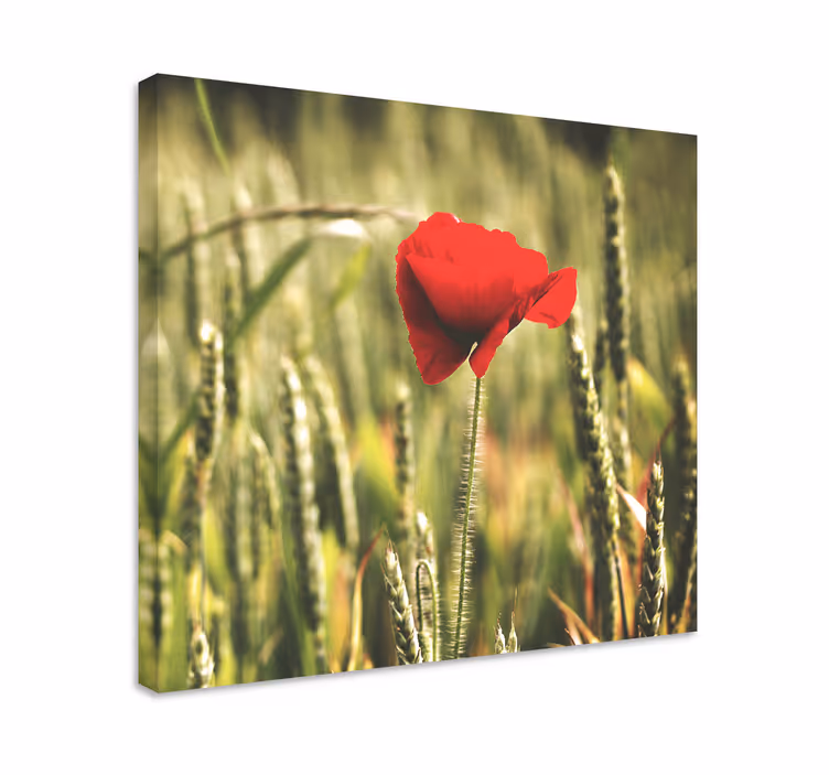 Quadro de flores flor vermelha em flor - TenStickers
