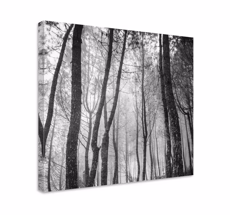 Quadro de paisage Floresta nebulosa vista de cima - TenStickers