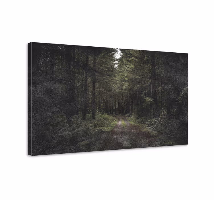 Quadro de paisagem caminho da floresta sereno - TenStickers
