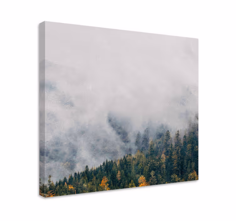 Quadro de árvores paisagem de floresta nebulosa - TenStickers