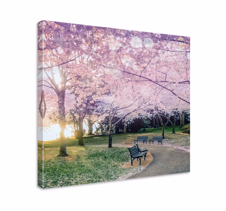 Quadro de flores caminho de cerejeiras - TenStickers