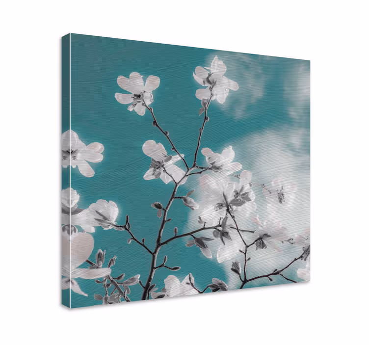 Quadro de flores Um lindo céu azul ensolarado - TenStickers