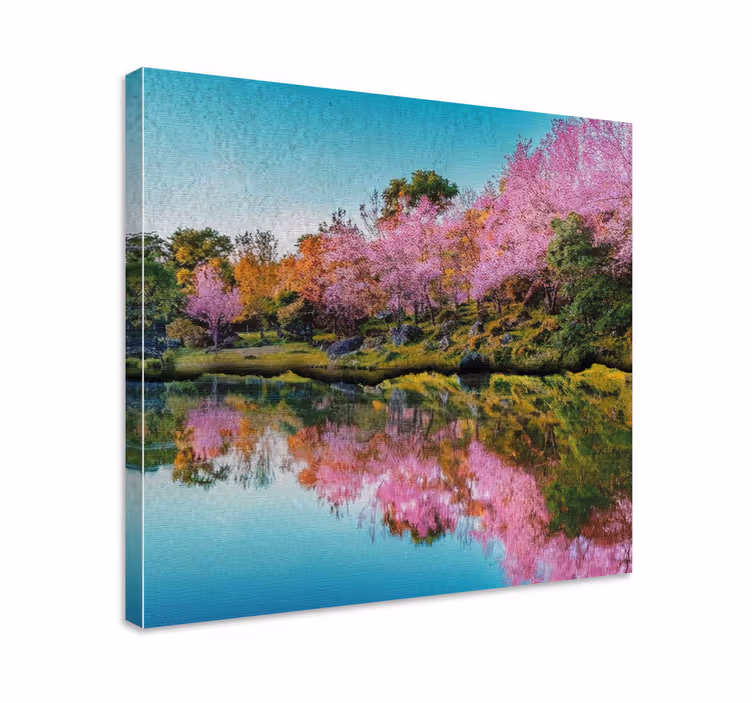Quadro de paisage reflexo da flor de cerejeira - TenStickers