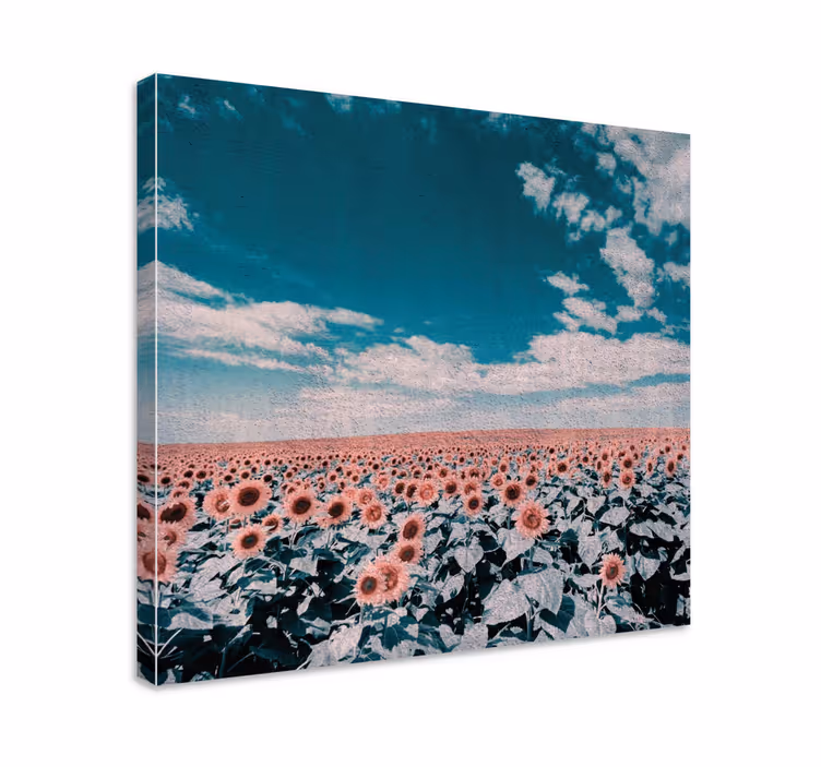 Quadro de flores horizonte de campo de girassóis - TenStickers