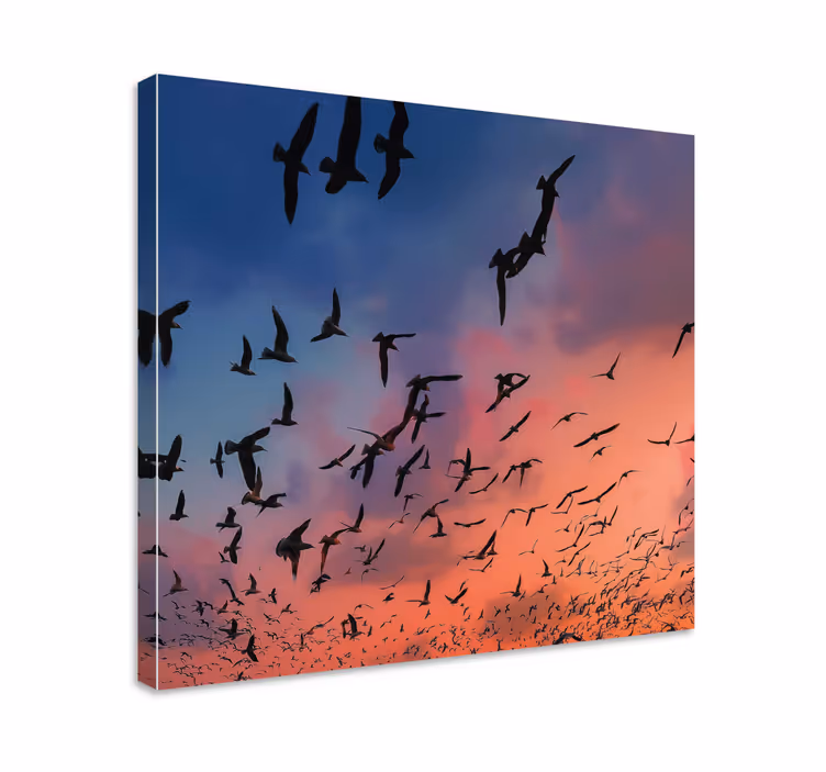 Quadro de pássaros bando de pássaros - TenStickers
