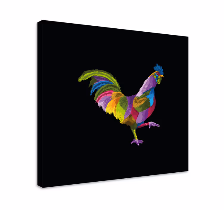 Quadro de pássaros desenho de galo colorido - TenStickers
