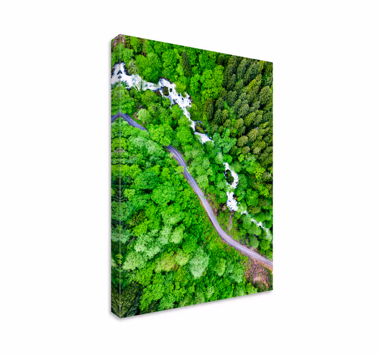 Quadro de paisagem rio florestal serpenteante - TenStickers