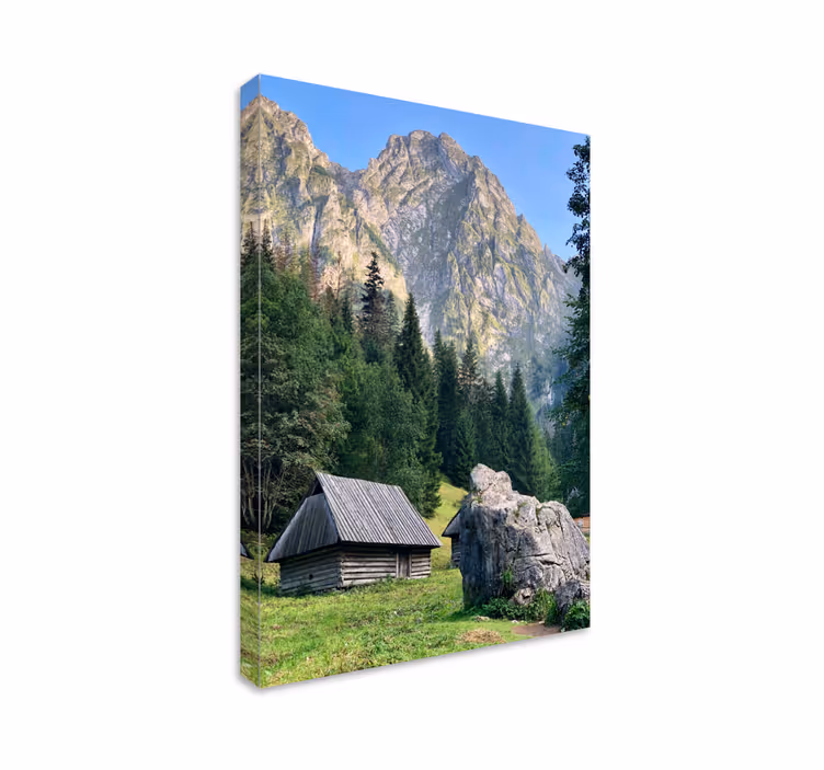 Quadro de paisagem cena de floresta montanhosa - TenStickers