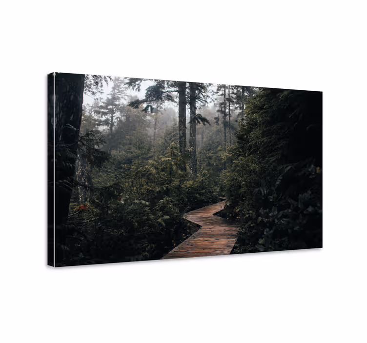 Quadro de paisagem caminho de madeira - TenStickers