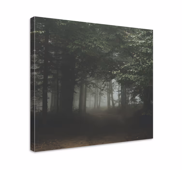 Quadro de paisage trilha encoberta na floresta - TenStickers