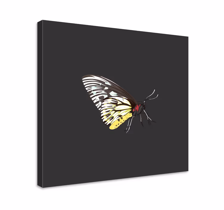 Quadro de borboletas perfil de borboleta elegante - TenStickers