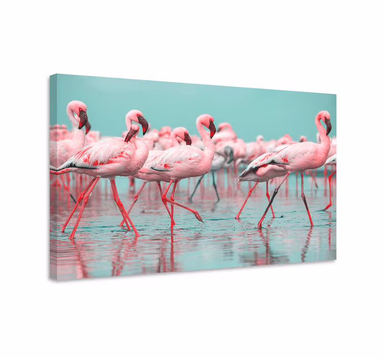 Quadro animais reunião de flamingos - TenStickers