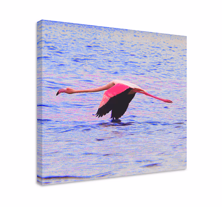 Quadro de peixes flamingo em voo - TenStickers