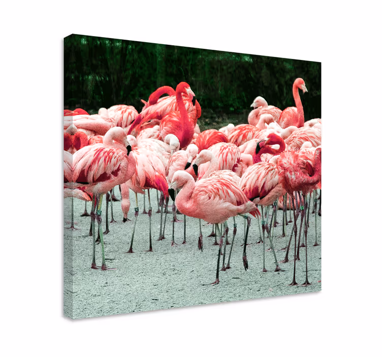 Quadro de pássaros com bando de flamingos - TenStickers