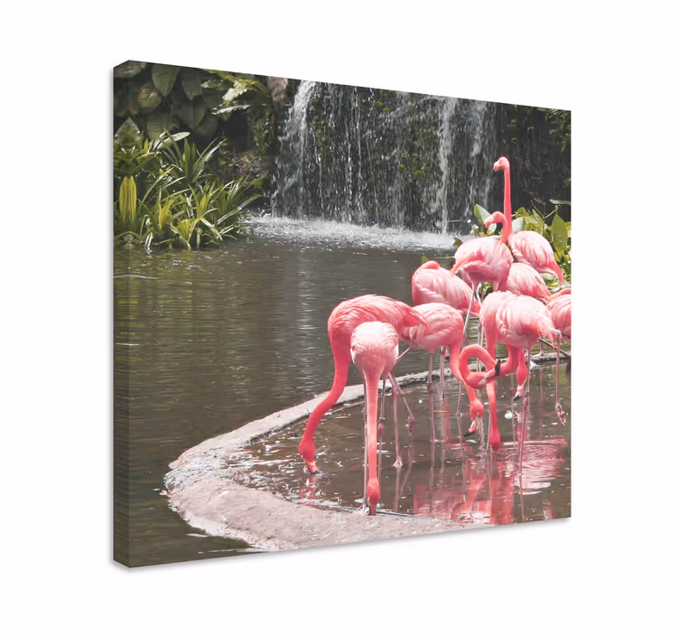 Quadro de pássaros flamingos em grupo na piscina - TenStickers