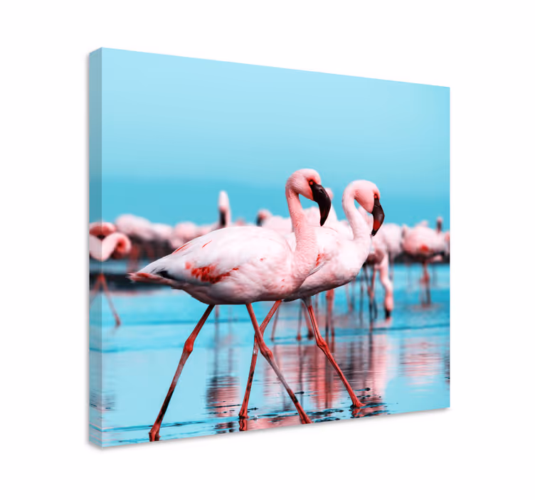 Quadro de pássaros flamingos cor-de-rosa majestosos - TenStickers