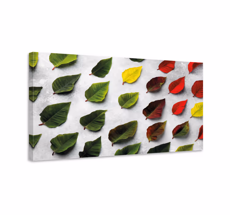 Quadro de flores coleção de folhas diversificada - TenStickers
