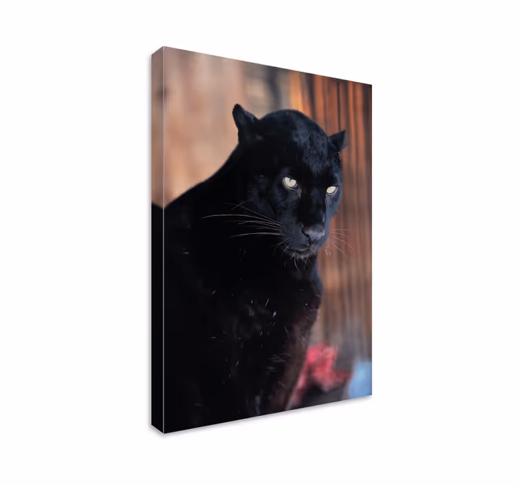 Quadro 3D Perseguição de leopardo - TenStickers