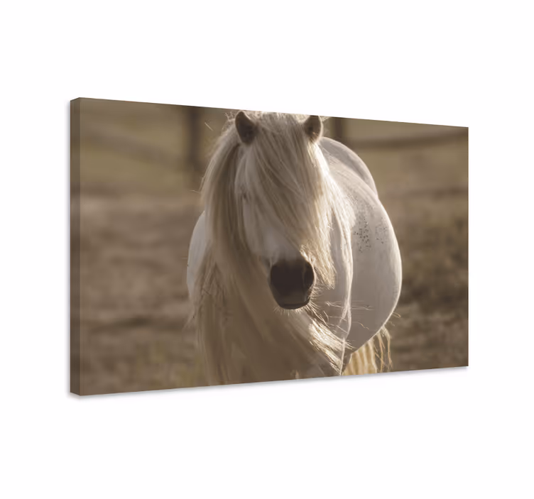 Quadro Decorativo de cavalos retrato equino majestoso - TenStickers