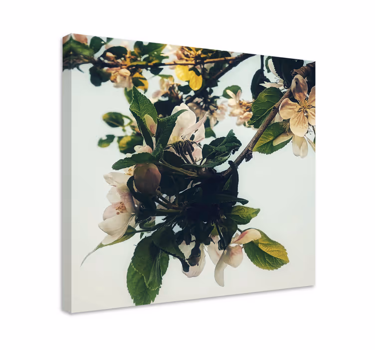 Quadro de flores ramo de maçã em flor - TenStickers