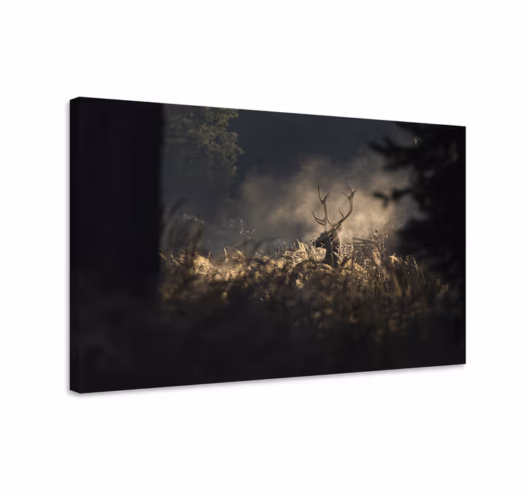 Quadro com veados contorno de veado regal - TenStickers