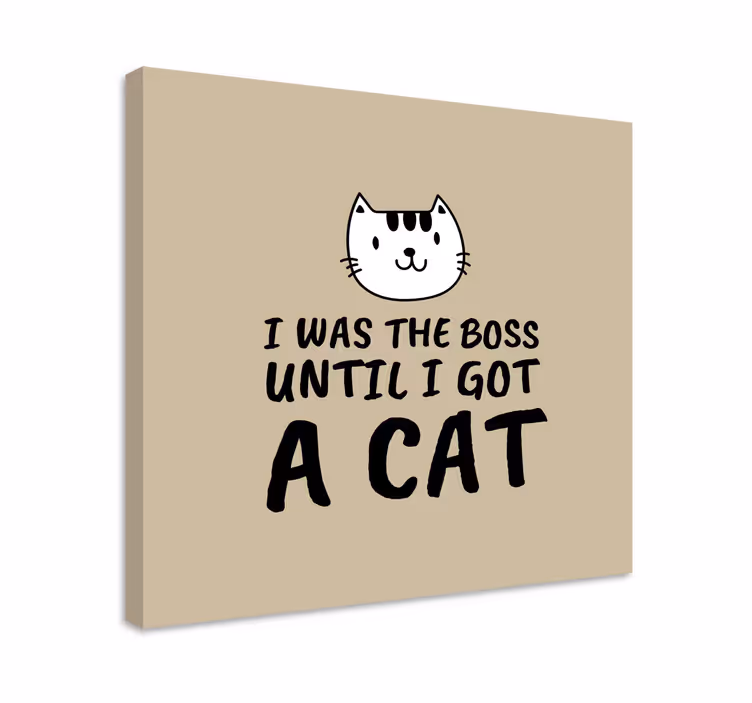 Quadro com gatos e citações engraçadas sobre gatos - TenStickers